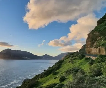 Cape Peninsula: Half-Day Guided Tour + Lunch + Transfer